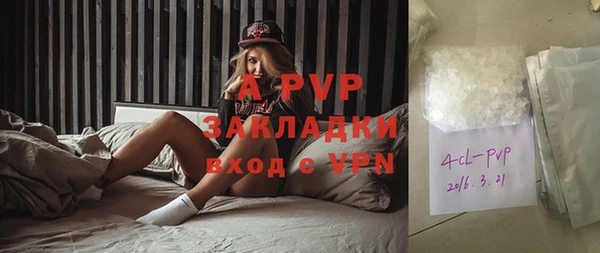 ешки Пересвет