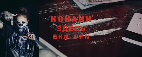 мет Пестово
