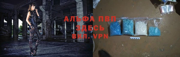 ешки Пересвет