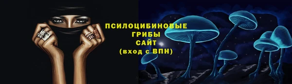 мет Пестово