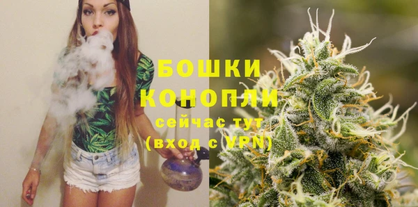 ешки Пересвет