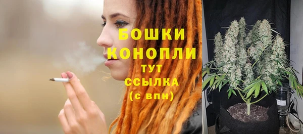 мет Пестово