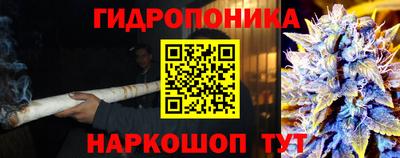 экстази Новозыбков
