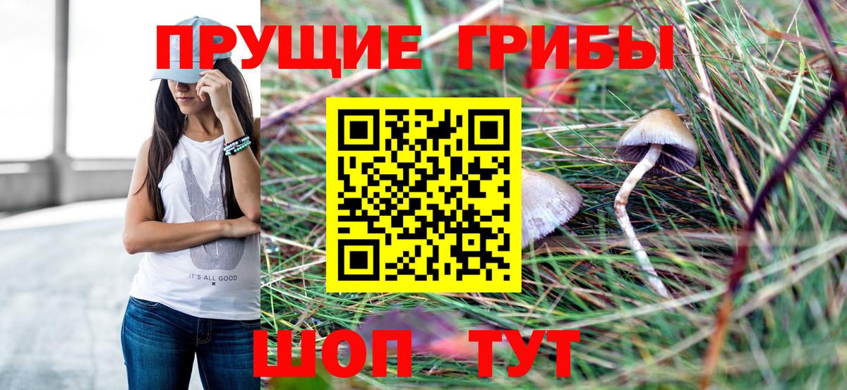 Саранск  Галлюциногенные грибы Magic Shrooms  Вход с VPN  Псилоцибиновые грибы прущие грибы 